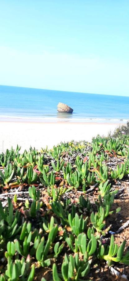 Caracola Beach Matalascañas Екстериор снимка